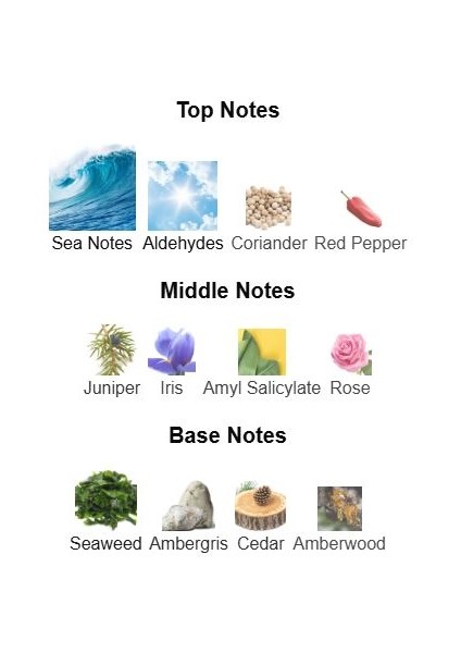 Into The Ocean (Sailing Day - Maison Margiela) Deniz, Tuz ve Ardıç Temalı Unisex Fresh Koku fırsatları