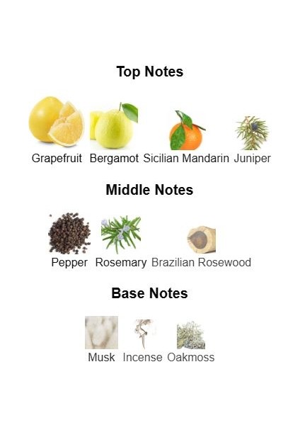 Turquoıse (Dolce&gabbana - Light Blue Pour Homme) Citrus, Ardıç ve Yosun Temalı Koku fırsatları