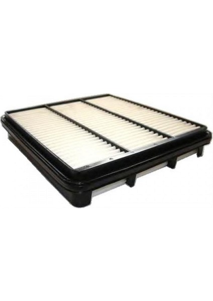 Polen Filtresi (Evanda) Gnzrz