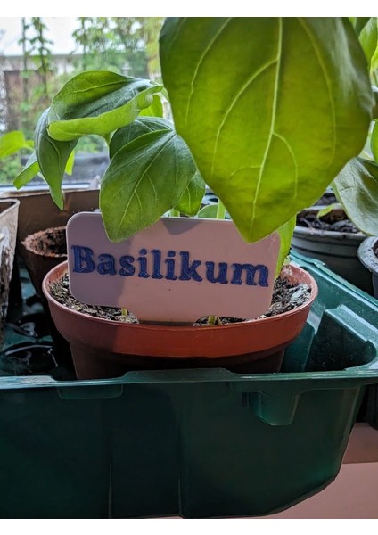 Bitki Işareti Basil P883007 Sadece Plastik Aparattır.