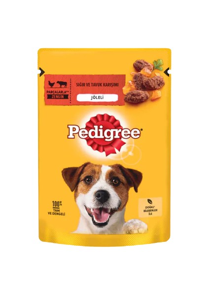 Pouch Sığır Etli ve Tavuklu Yetişkin Konserve Köpek Maması 100 gr - 437444