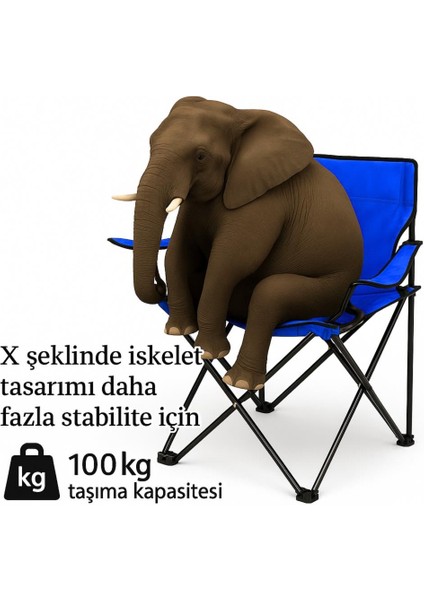 2 Adet Katlanır Kamp Sandalyesi - Piknik Plaj Sandalyesi - (DY.001) - Mavi - Taşıma Çantalı