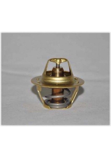 Termostat 82C Fiesta Iv-V-Vi-Focus-Cmax-Focus Ii-Iii-Fusion-Mondeo Iv 1.4-1.6 Gnzrz