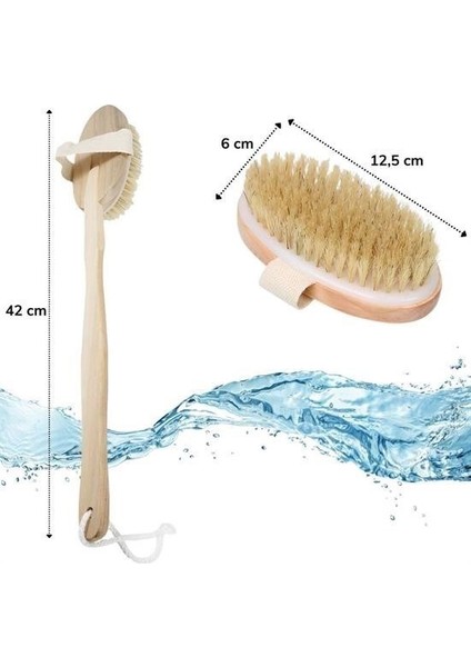 Bakgelal Saplı At Kılı Banyo Fırçası, Cilt Tazeleyici Doğal Fırça, Peeling ve Lenf Drenajı Için Mükemmel, Çıkarılabilir Saplı, Masaj Etkili, Peeling Için Ideal Banyo Fırçası indirimleri