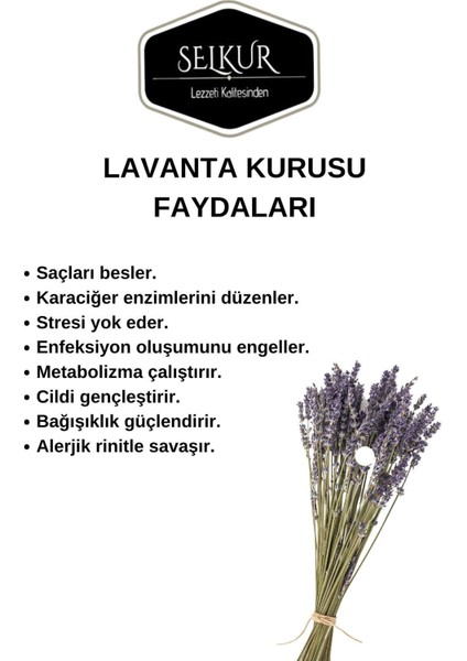 Lavanta Kurusu 100gr (Doğal,Boyasız)