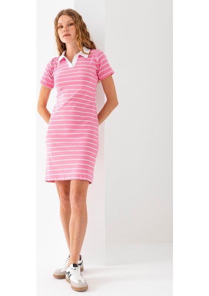 Kadın Polo Yaka Kısa Kollu Çizgili Elbise Pembe Beyaz - 25538