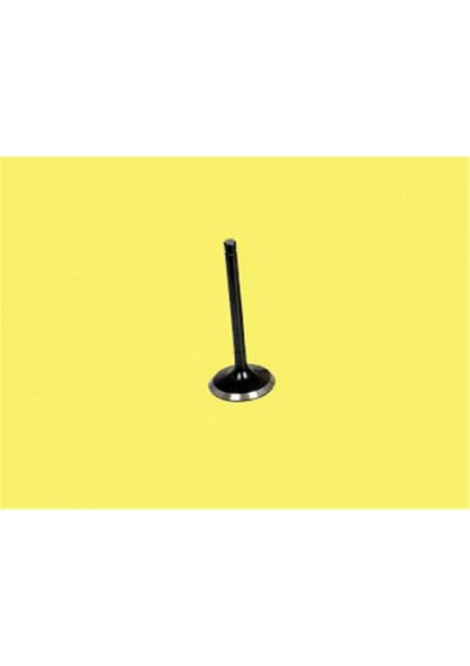Subap Emme Eksoz Mgn-Clio 1.4 Lgn 1.6 16V F3 Motor K4M-K4J In-8/ex-8 7700107489-7700107490 Gnzrz