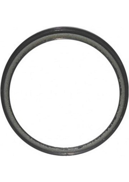 Abs Okuyucu Halka Arka Mgn Iii-Fluence Gnzrz