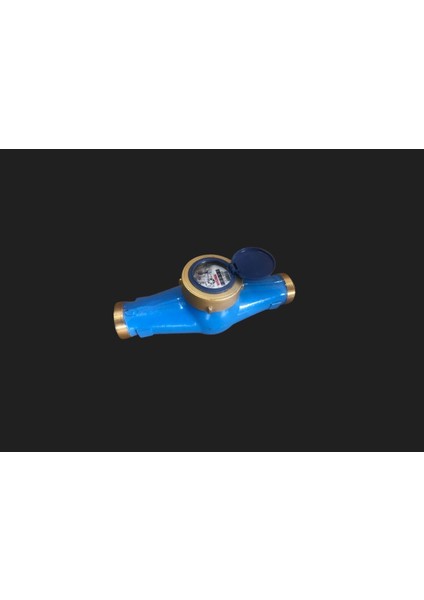 Dn 40 1 300 mm Soğuk Su Sayacı