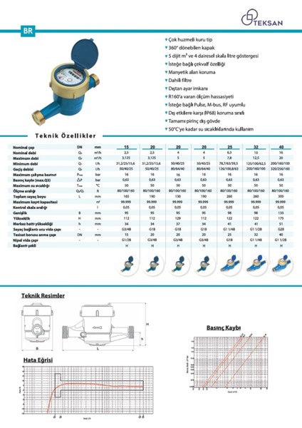 Dn 50 2 300 mm Rekorlu Soğuk Su Sayacı (Prinç Gövdeli) + Pulse Çıkış + Pulse Kablosu