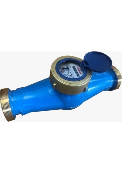 Dn 50 2 300 mm Rekorlu Soğuk Su Sayacı (Prinç Gövdeli) + Pulse Çıkış + Pulse Kablosu