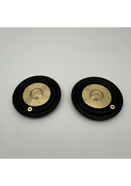 Solenoid Valf Gm Nbr Diyaframı 1" fiyatları