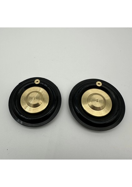 Solenoid Valf Gm Nbr Diyaframı 1" modelleri