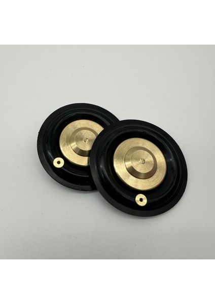 Solenoid Valf Gm Nbr Diyaframı 1" fırsatları