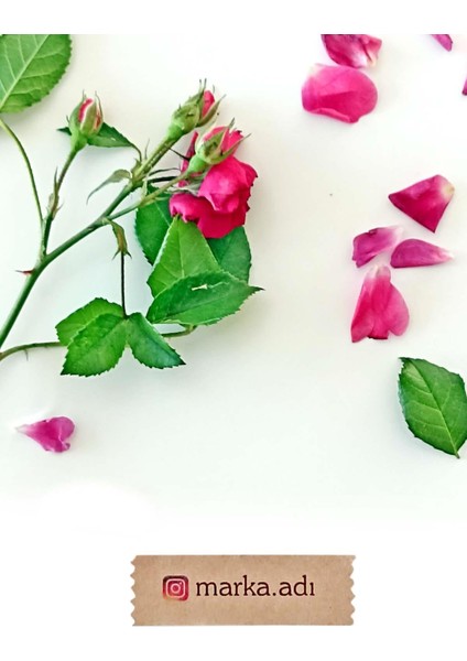 Kişiye Özel Etiket -144 Adet Kraft Sticker - Marka Etiketi (1,8 x 5.5 Cm)