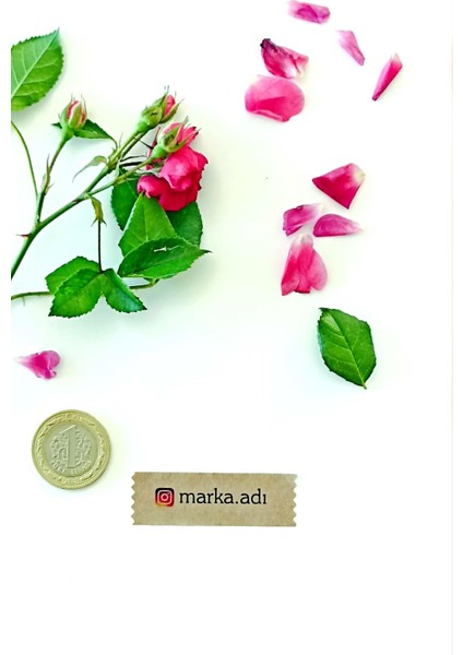 Kişiye Özel Etiket -144 Adet Kraft Sticker - Marka Etiketi (1,8 x 5.5 Cm) fiyatları