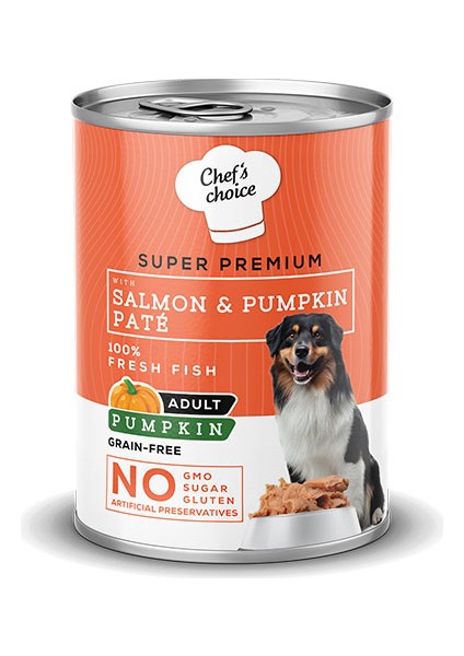 Pumpkin Pate Somonlu Balkabaklı Tahılsız Yetişkin Köpek Konservesi 24 Adet 400 gr