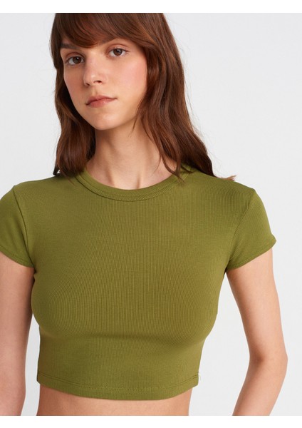 31810 Bisiklet Yaka Crop T-Shirt-Yağ Yeşil modelleri