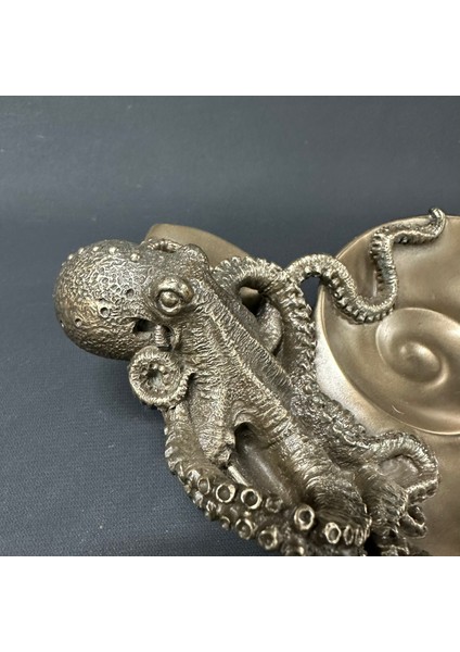 Ahtapot Tabak Veronese Design fırsatları