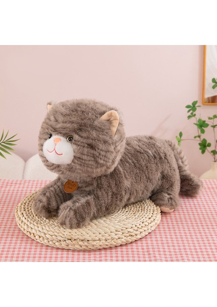 35 cm Sevimli Kedi Peluş Oyuncak Bebek Bebek Yastık Hediye (Yurt Dışından)