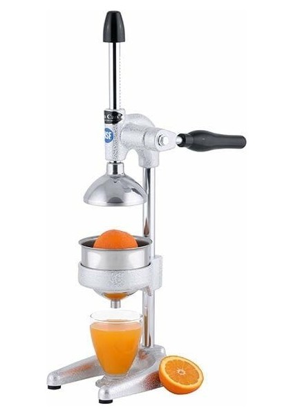 Ev Tipi Manuel Meyve Presi