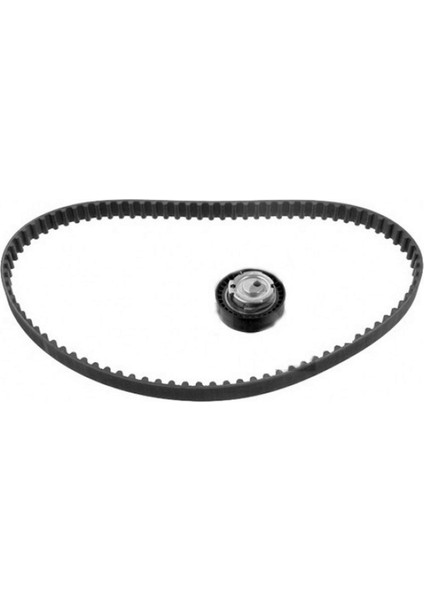 Eks Gergi Kiti 96X173 Renault Sandero 1.4/1.6 8V 09 Dacia Logan 1.4/1.6 04 Sandero 1.4/1.6 8V 0 Gnzrz
