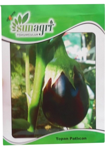 Patlıcan Topan Tohumu 10GR Paket