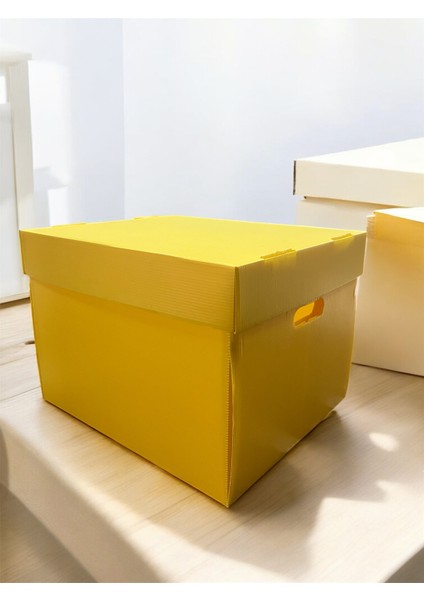 Arşiv Kutusu ve Dosyası Taşıma Kutusu 42X35X30CM Plastik Oluklu Levha fiyatları