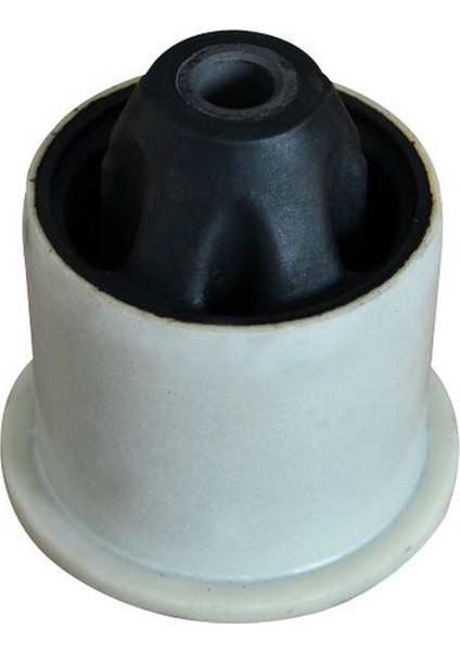 Torsiyon Burcu Logan 04 Gnzrz