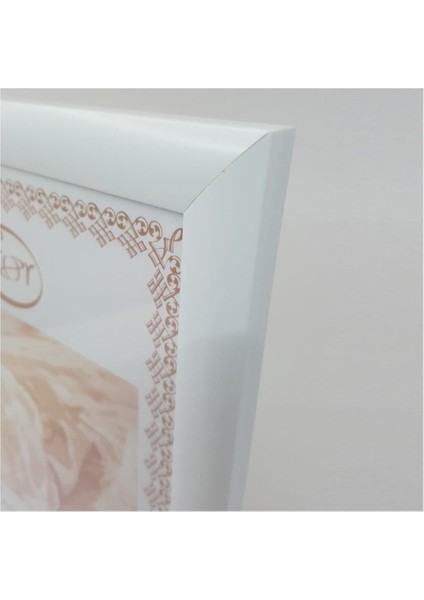 A4 Çerçevesi Mat Camlı 24 mm fiyatları