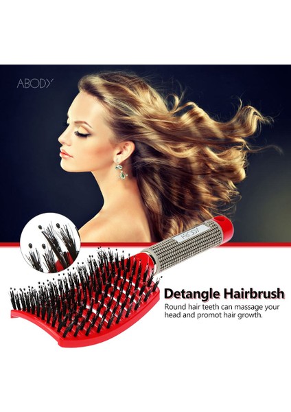 1/2/3 Adet Saç Fırçası Kıl Naylon Detangle Saç Fırçası Kadın Saç Derisi Masaj Tarak Islak Saç Fırçası Kuaförlük Salonu Için (Yurt Dışından) fiyatları