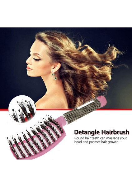 Saç Fırçası Anti Klit Saç Tarak 4 Renk Kadın Kıl Saç Derisi Masaj Saç Fırçası Tarak Detangle Arapsaçı Saç Fırçası Salon Şekillendirici Araçları (Yurt Dışından) fiyatları