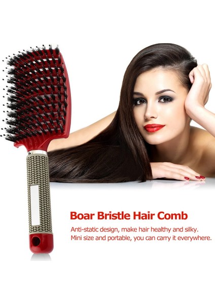 Saç Fırçası Anti Klit Saç Tarak 4 Renk Kadın Kıl Saç Derisi Masaj Saç Fırçası Tarak Detangle Arapsaçı Saç Fırçası Salon Şekillendirici Araçları (Yurt Dışından) modelleri