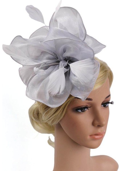 2 Adet Kadın Kız Fascinator Şapka Saç Bandı Kokteyl Parti Başlığı (Yurt Dışından) fiyatları