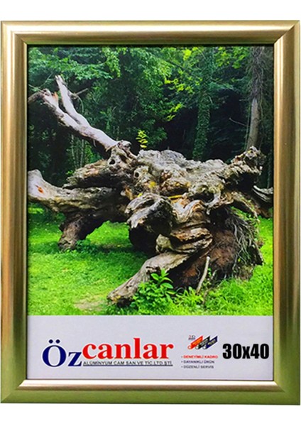 Hediyelik Çerçeve Ev Home Ofis Kişiye Özel Resim Çerçevesi Masaüstü 30 x 40