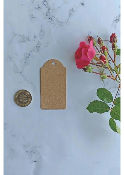 Kraft Etiket 100 Adet (3.8 cm x 7.5 Cm)