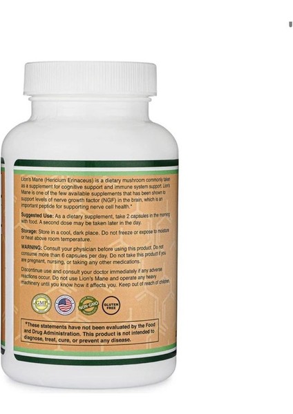 Lions Mane Mushroom 500 mg 120 Capsule modelleri