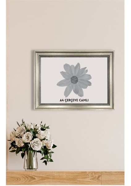 Standart A4 Çerçeve 21,0 x 29,7 cm Iç Ölçü. Camlı Dekoratif Çerçeve fiyatları