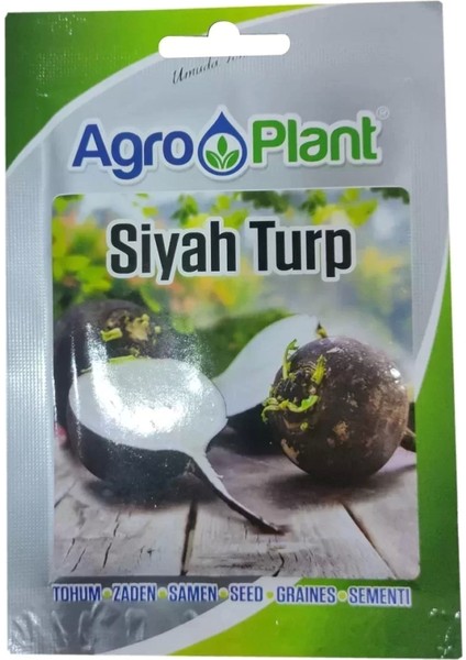 Siyah Turp Tohumu 25GR Paket