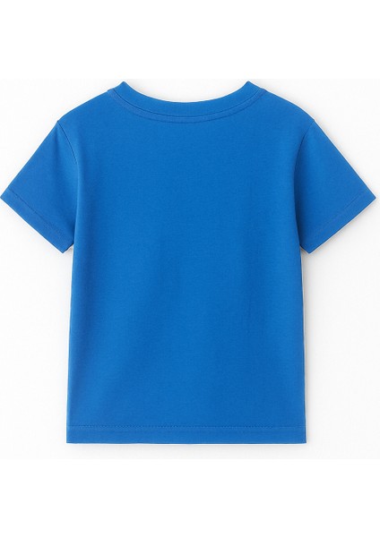Sonic Baskılı Erkek Çocuk Tişörtü - Renkli Pamuklu Kısa Kollu Yazlık T-Shirt Basic Günlük modelleri