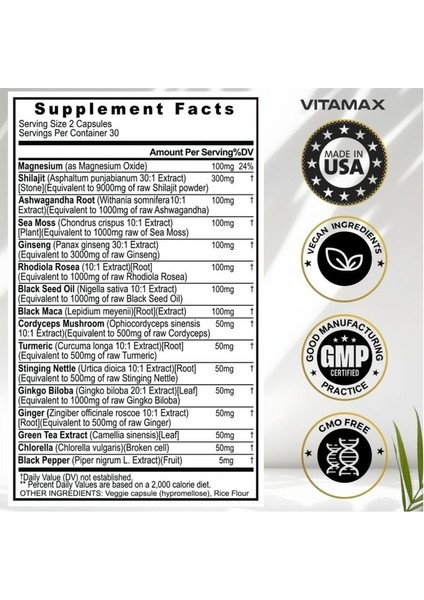 Shilajit + Ginseng + Sea Moss + Maca + Ashw. + Ginkgo Biloba 60 Kapsül