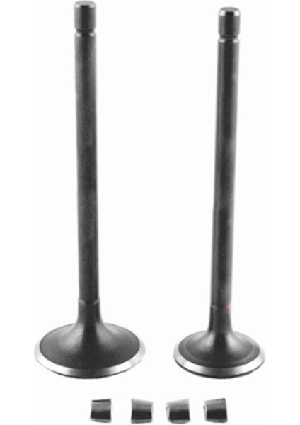 Emme Egzoz Sübap Takımı Tırnaklı Dq Cub 100 110 Kh