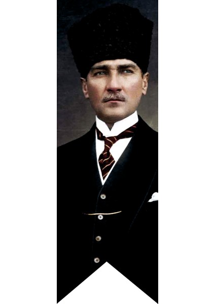 Atatürk Baskılı Kırlangıç Bayrak 50 x 150 cm
