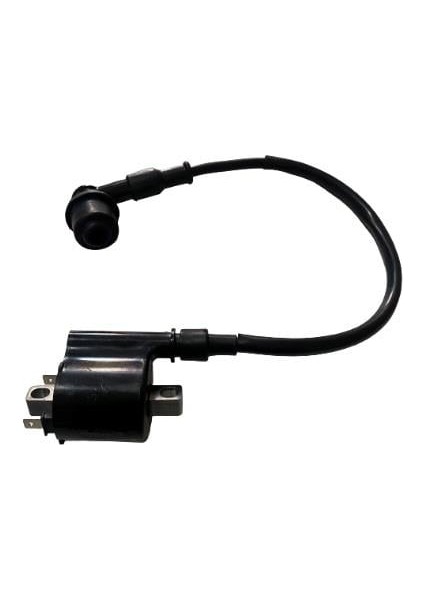 Ateşleme Bobini Oem Spacy Activa 125S