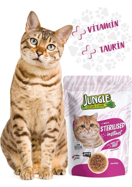 Kısırlaştırılmış Kedi Maması Sığır Eti Parçalı Pouch 100 gr fiyatları