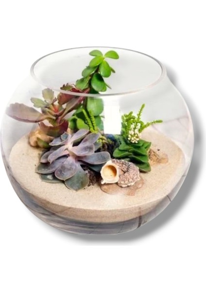 Çocuk Oyun Kumu Oyun Alan Silis Kumu Süsleme, Dekor 5.1 kg 1 Adet Mini Dino Hediyeli fırsatları