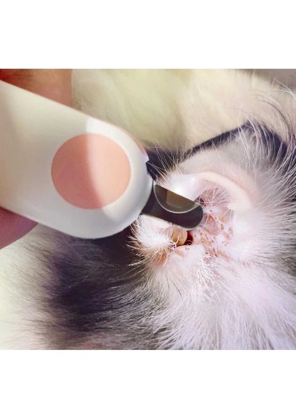 Işıklı Kedi Köpek Tırnak Makası Pet Evcil Hayvanları Için Led'li Tırnak Makası indirimleri