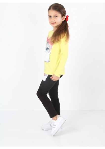 Kedicik Detaylı Kız Çocuk Taytlı Takım