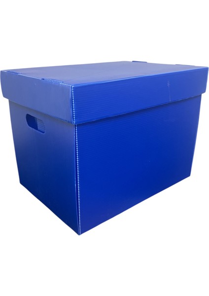 Arşiv Kutusu 41X29X31CM Taşıma Kutusu Plastik Oluklu Mavi