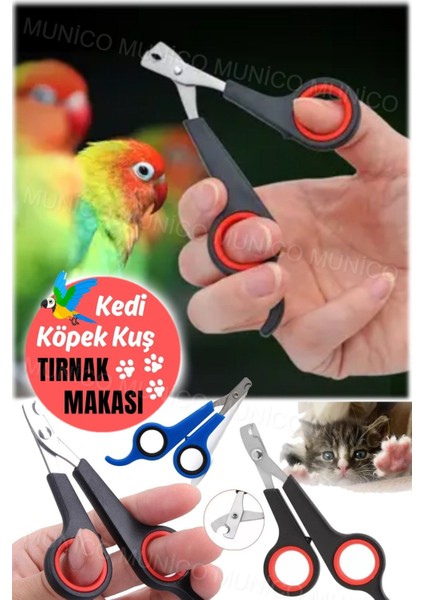 Kedi Köpek Kuş Kedi Tırnak Makası Paslanmaz Çelik Makas Mini Tırnak Pençe Kesme Şekillendirme Makas fırsatları
